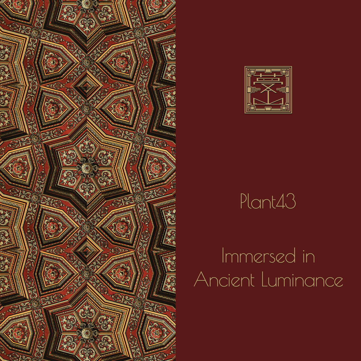 Immersed in Ancient Luminance