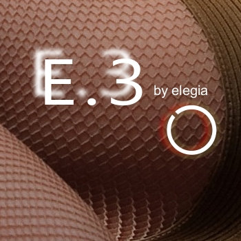 E.3