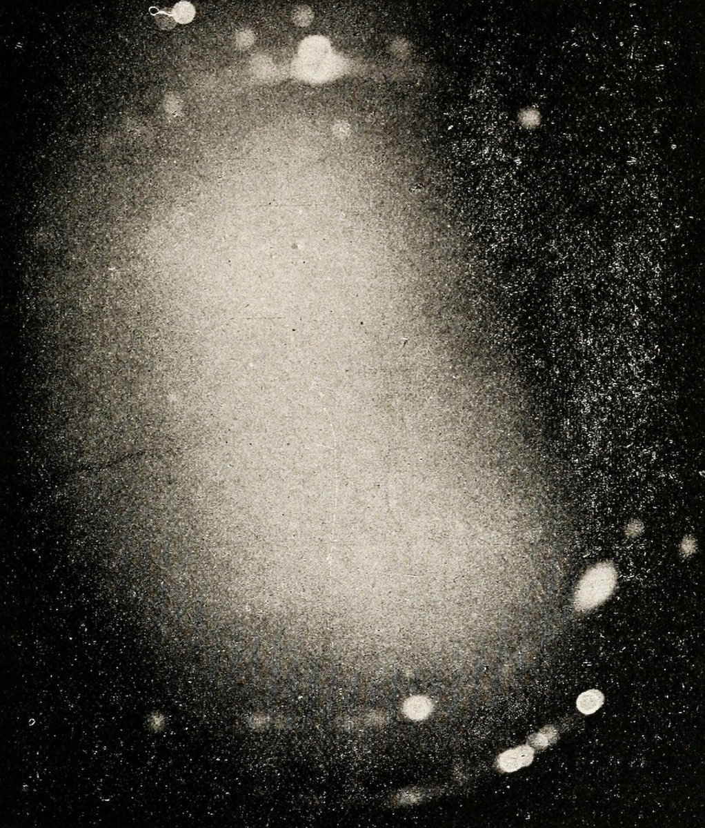 This Curse Is Our Punishment