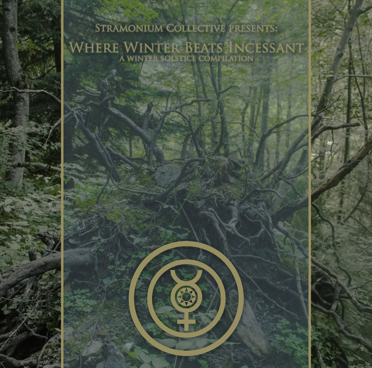 Where Winter Beats Incessant