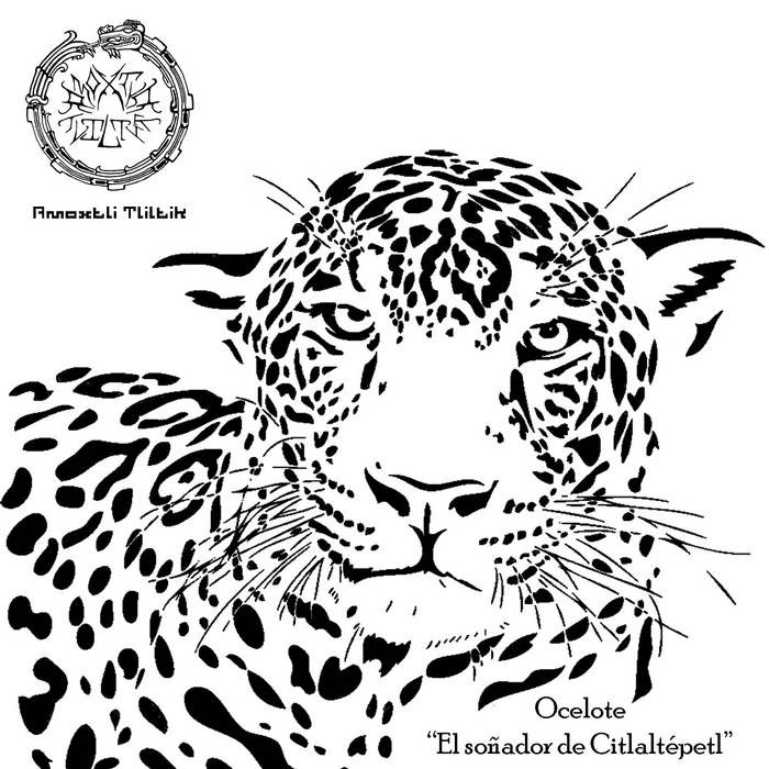 Ocelote "El soñador de Citlaltépetl"