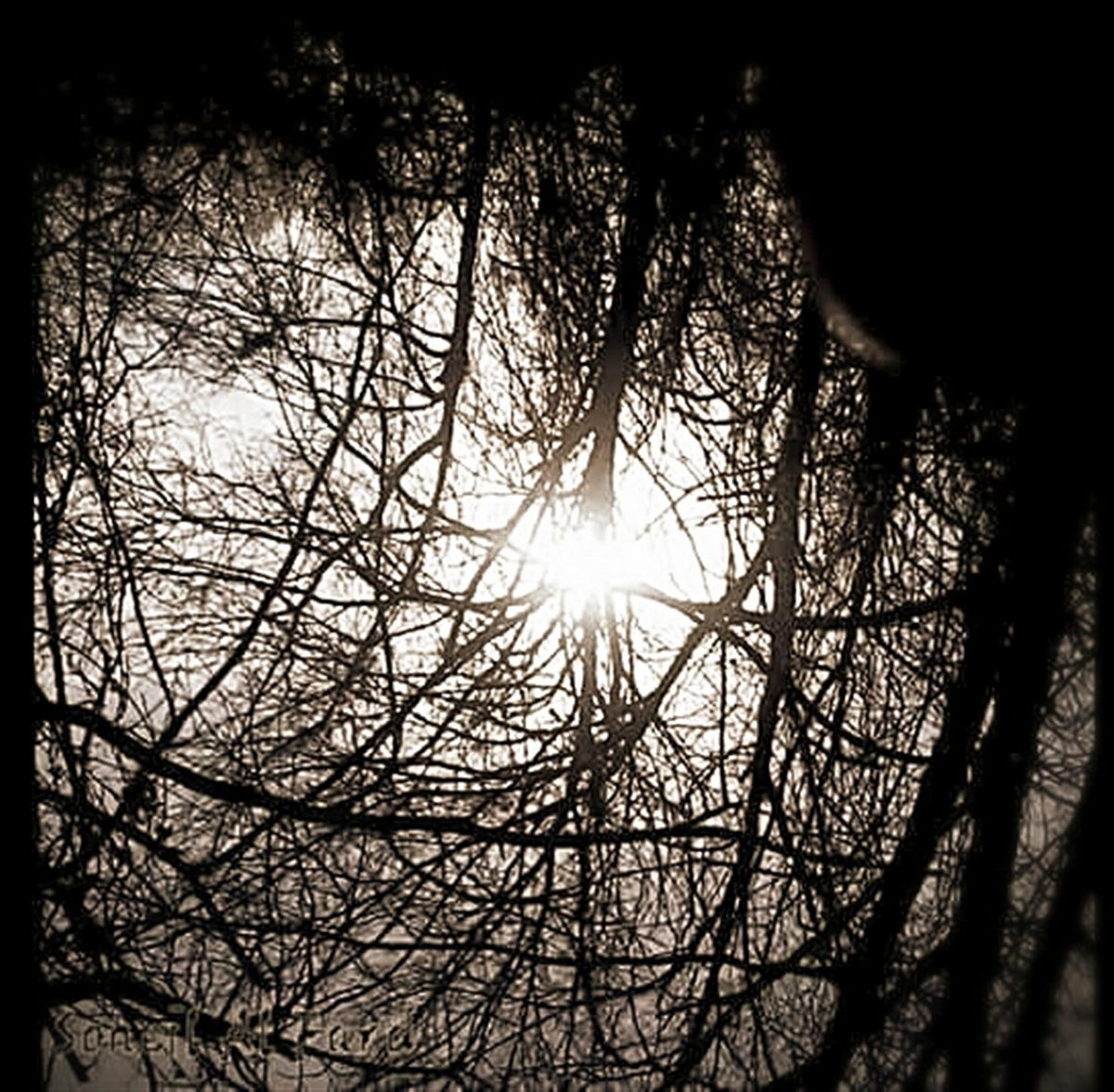 Nature EP (Instrumental Version)