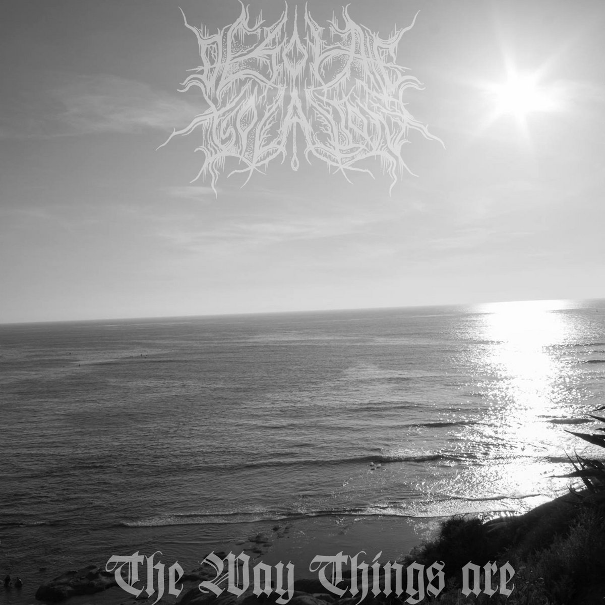 The Way Things Are - Single