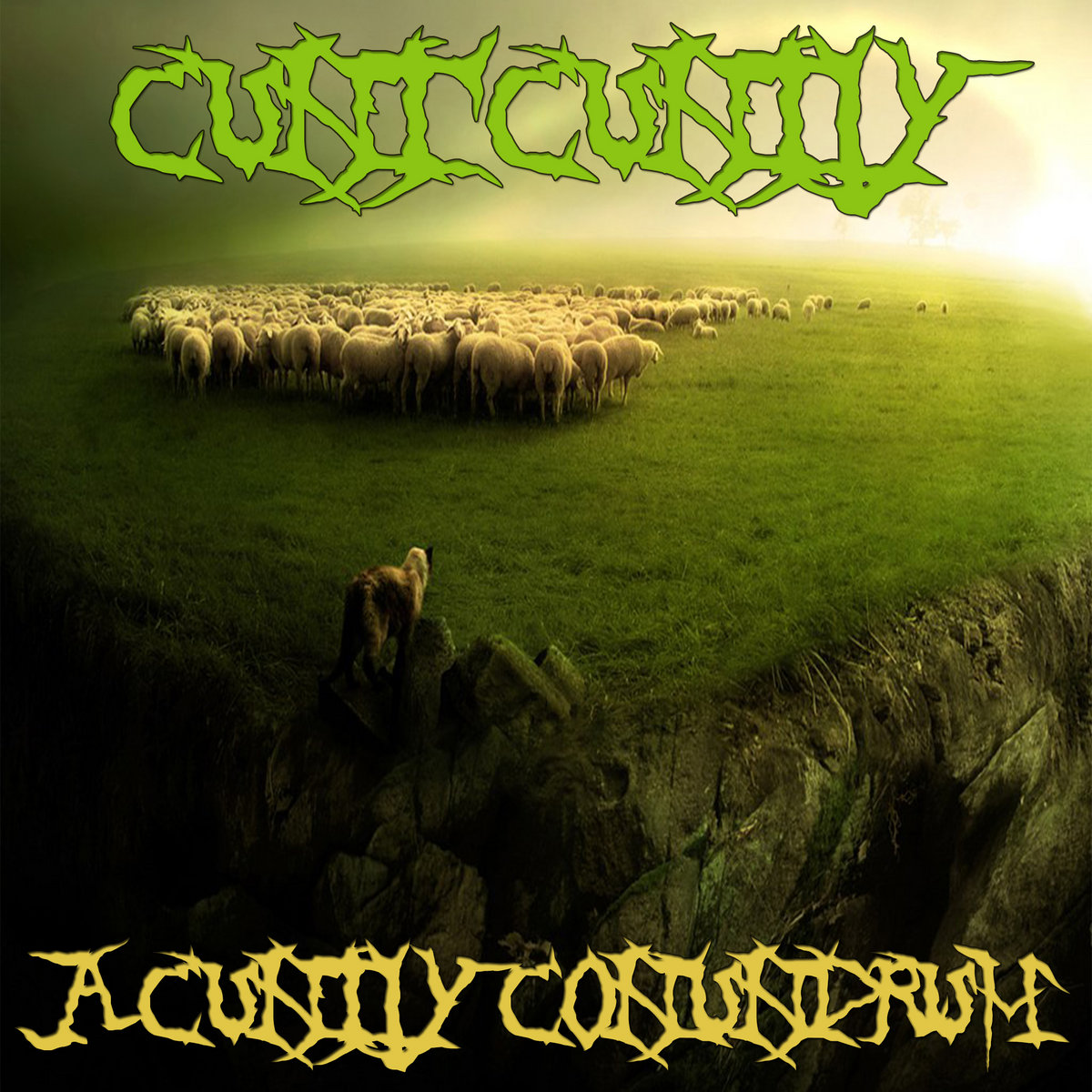 A Cuntly Conundrum (Cover Album)