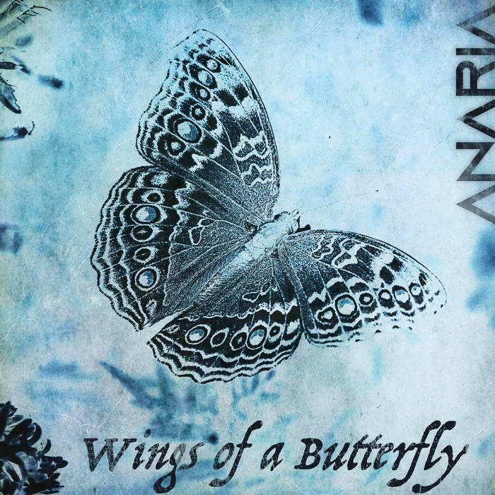 Wings Of A Butterfly
