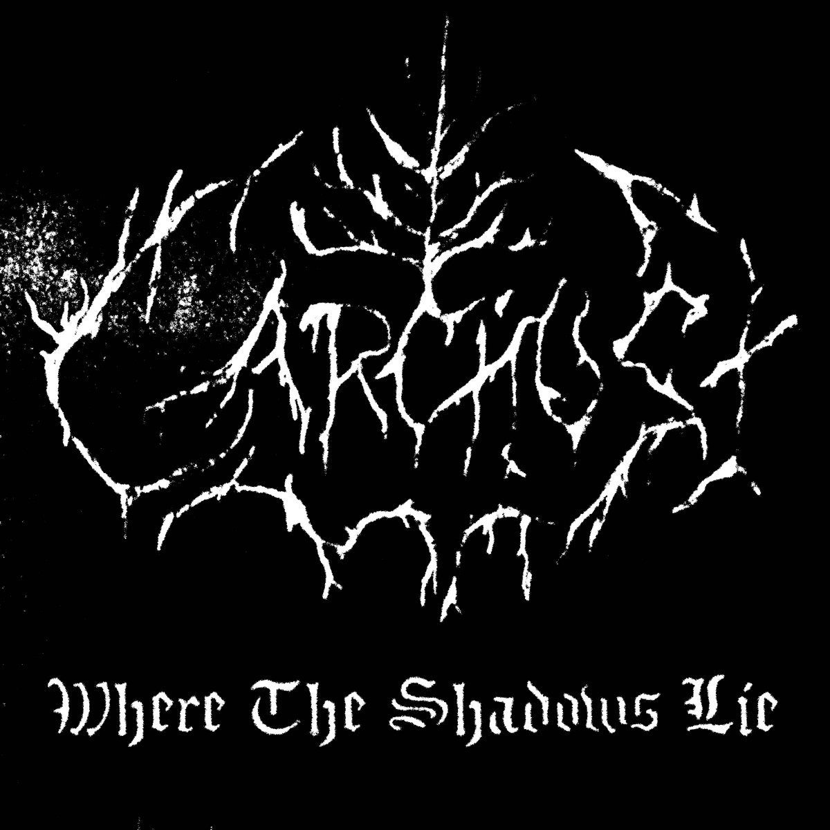 Where the Shadows Lie