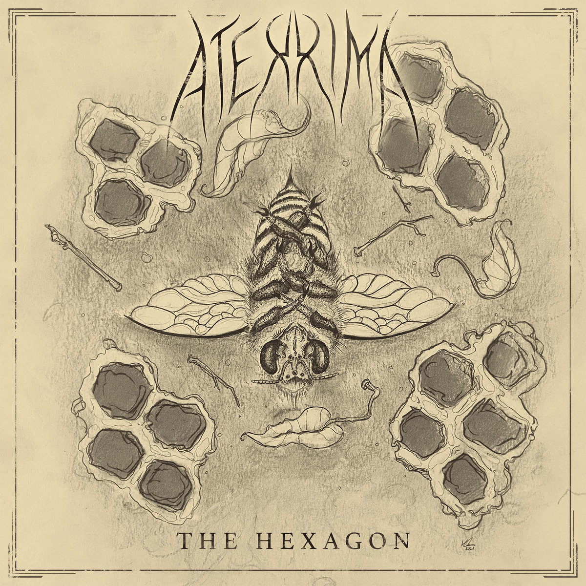 The Hexagon