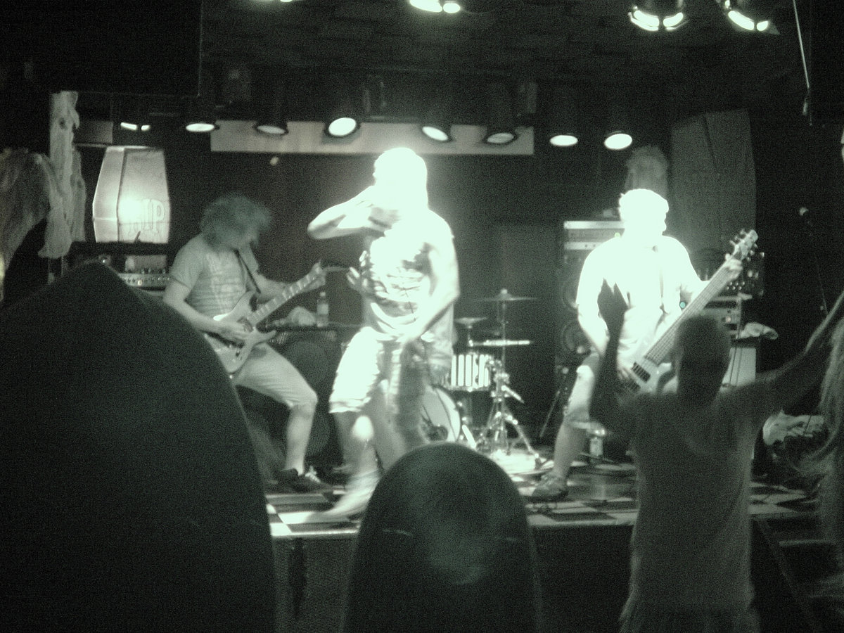 Songs from The Burrow