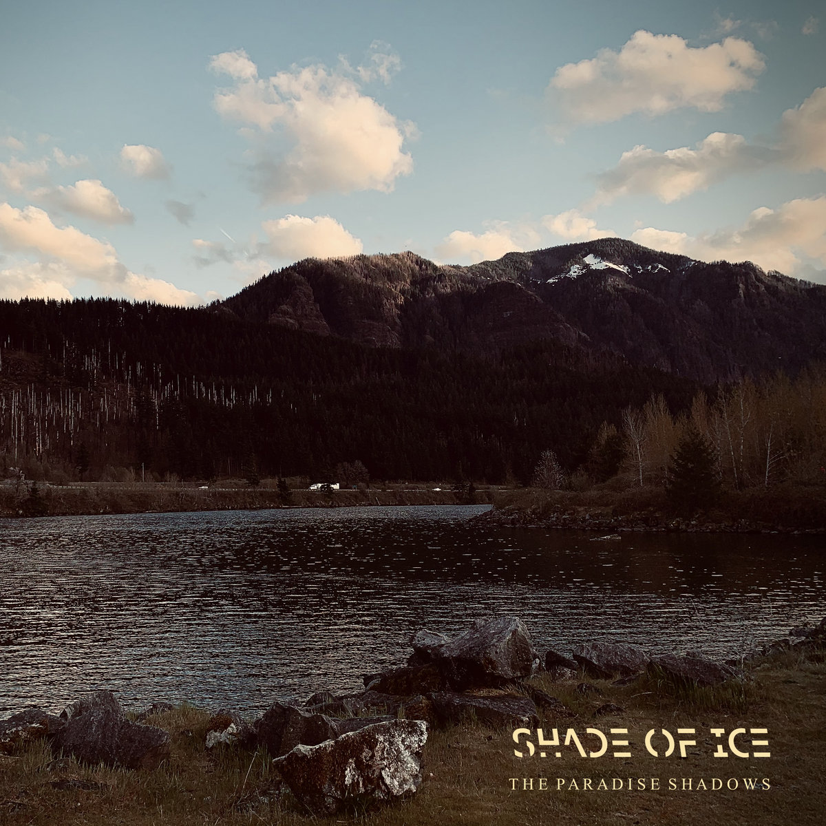 The Paradise Shadows