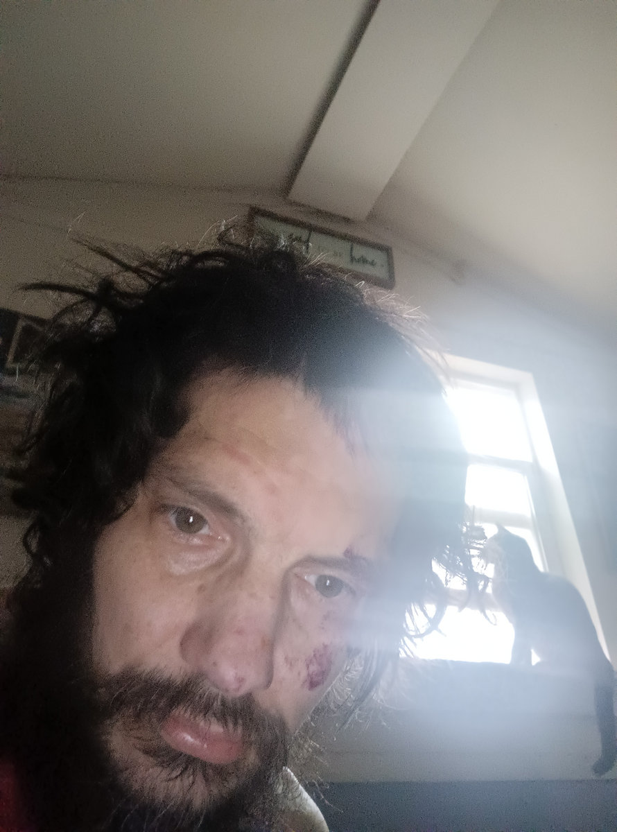 New song for the cat