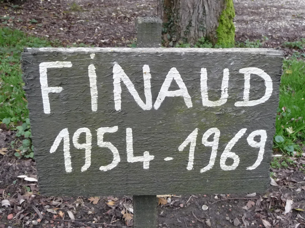 Messe Pour Un Chien - Preprods