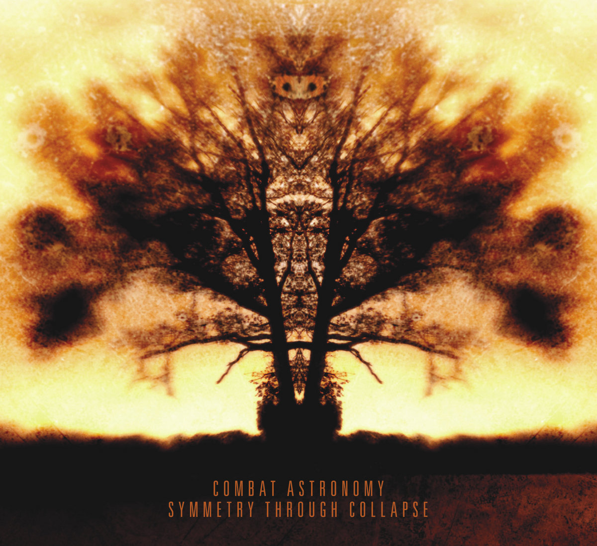 Symmetry Through Collapse