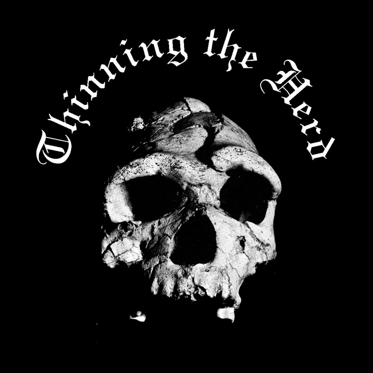 Trampled by Deer - Single