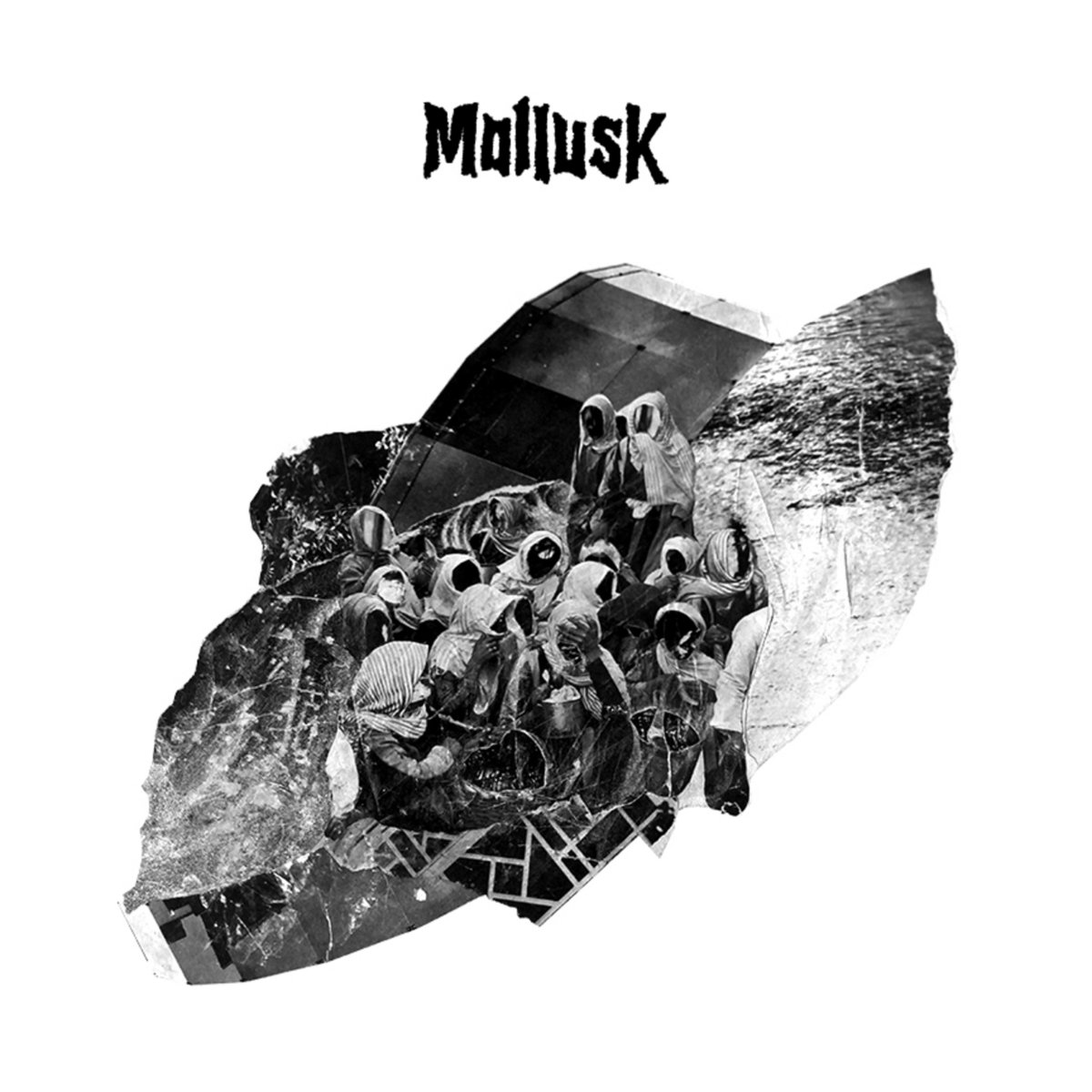Mollusk