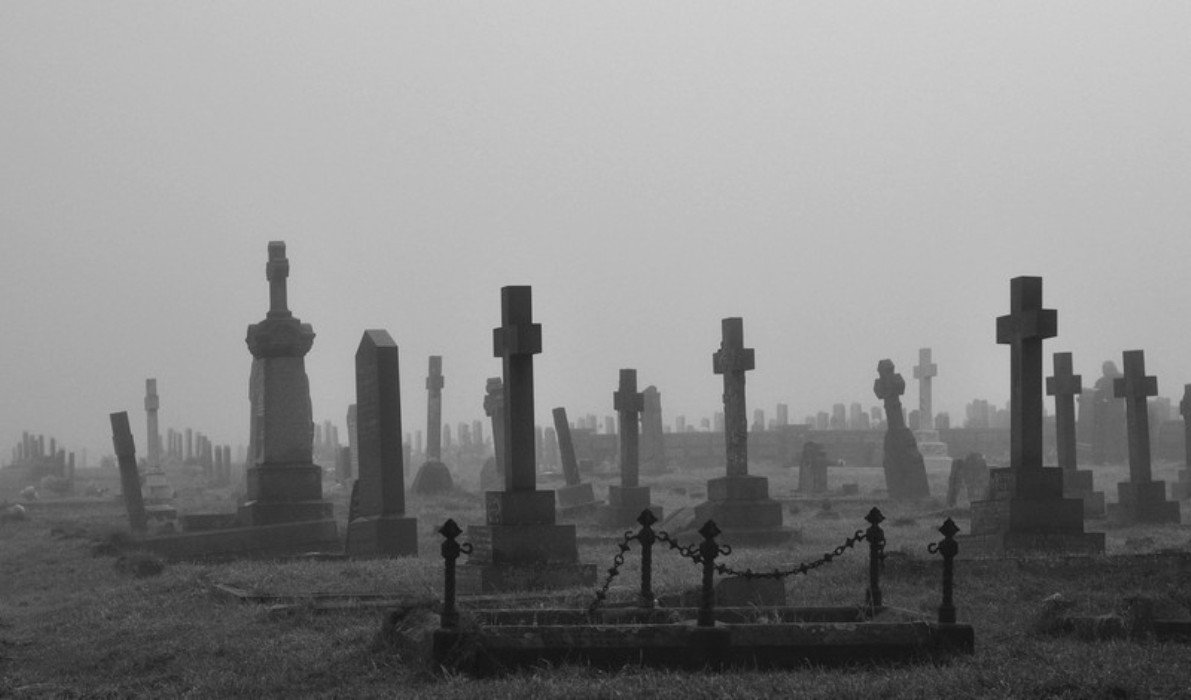 The Gift (This Perfect Horror)