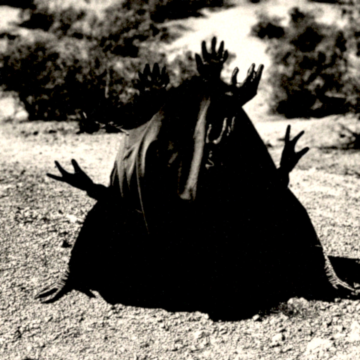 Ecological Grief - Relentless Visions of Fire and Aridification