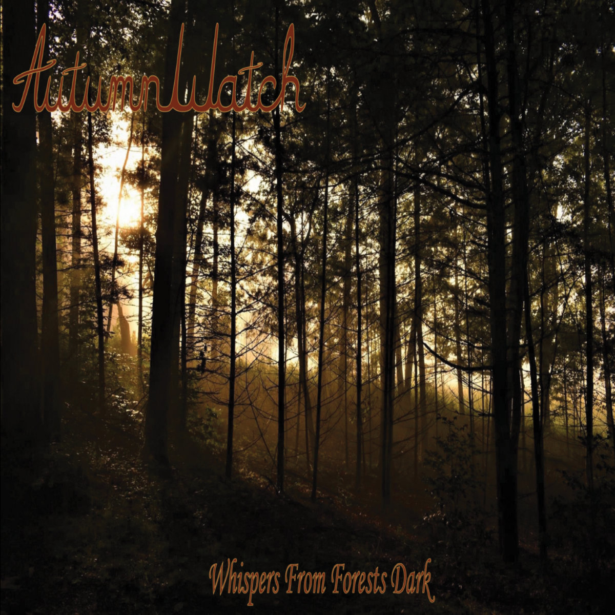 Whispers From Forests Dark