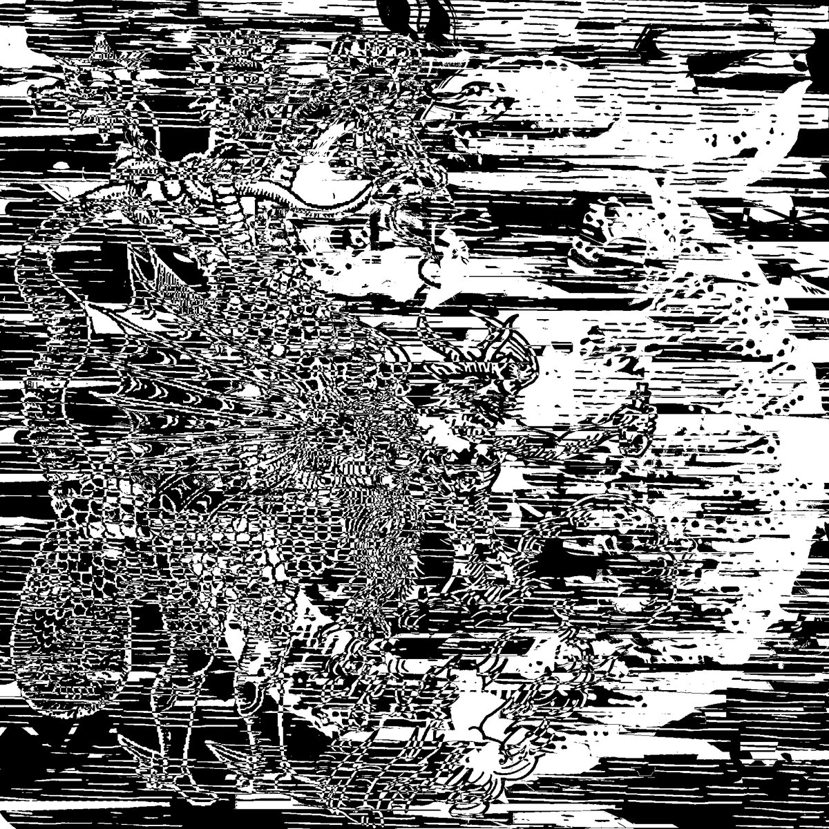 HD.023 | FRACTURA EP