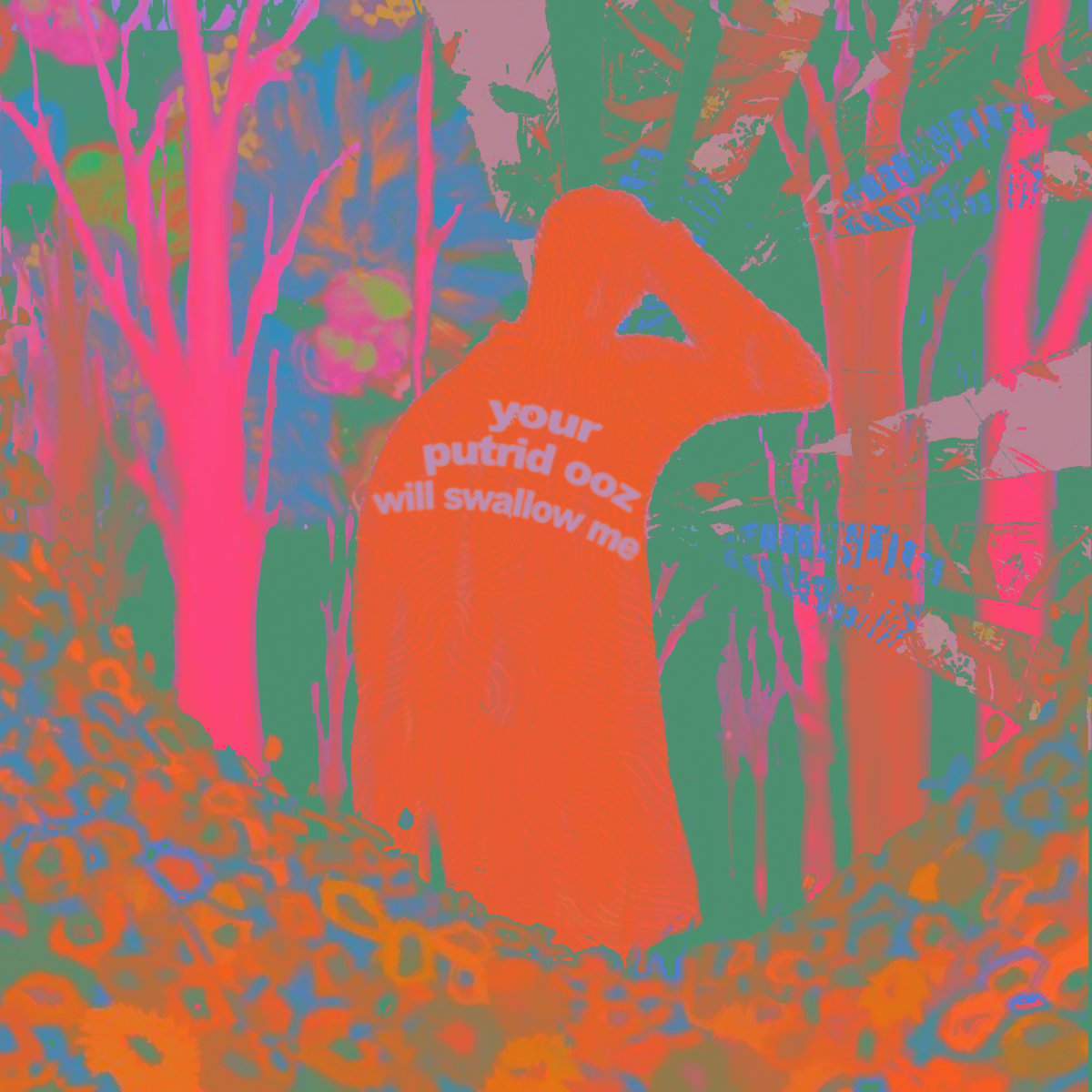 forest sounds and where they led me