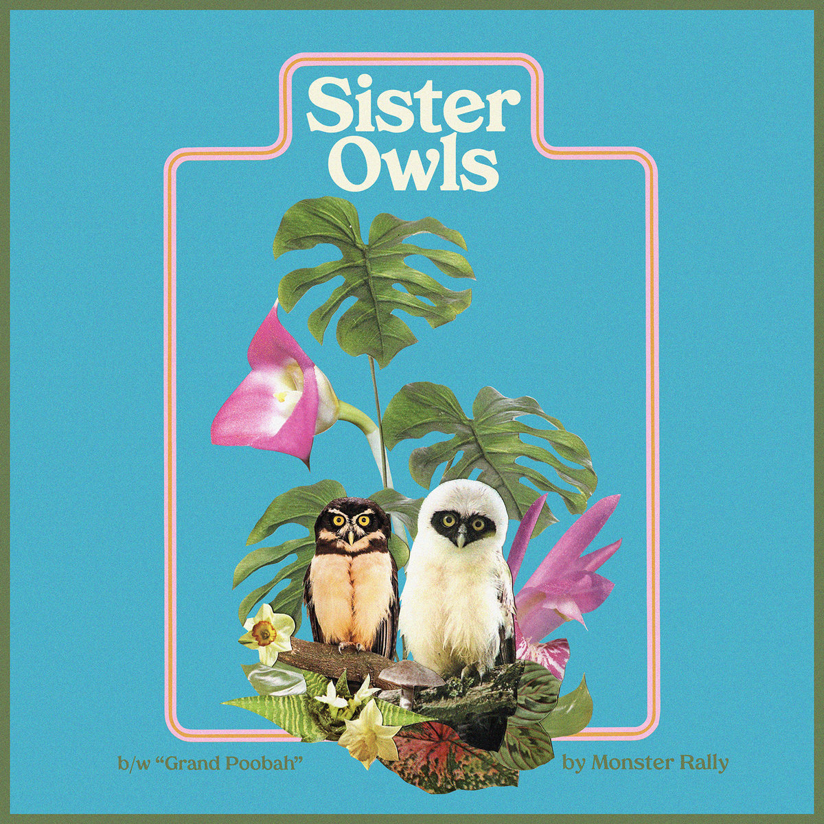 Sister Owls Single