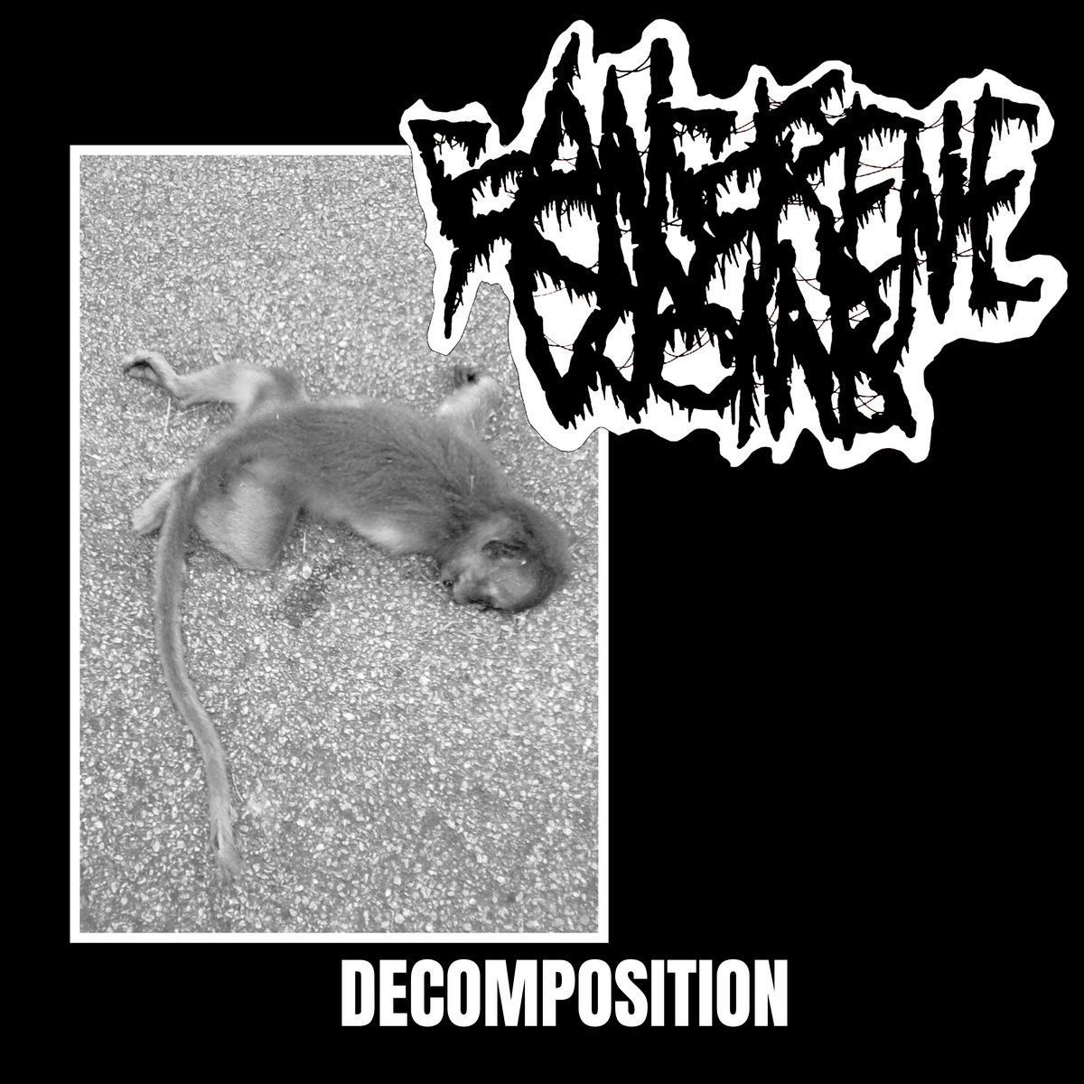 Decomposition (DEMO 2022)
