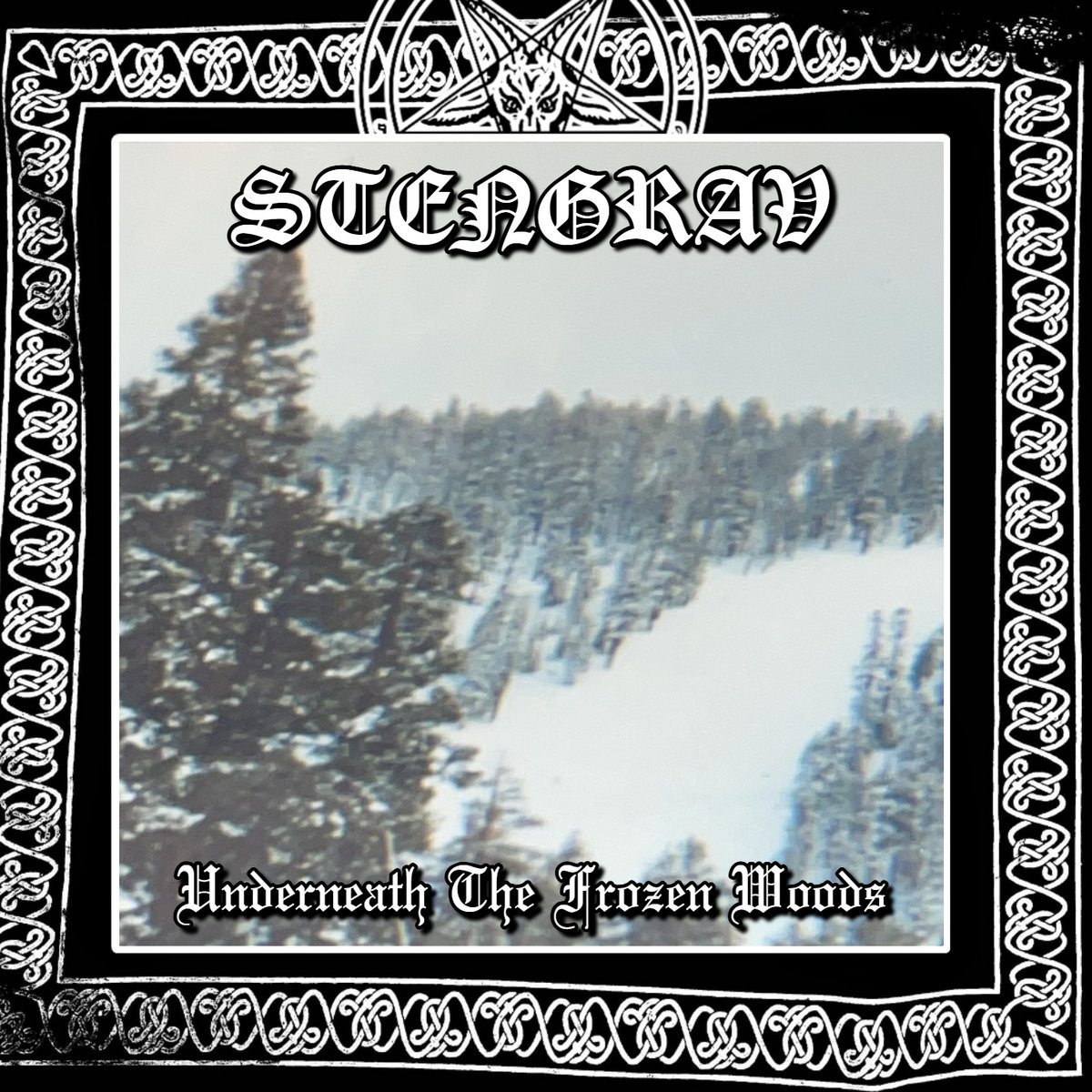 Underneath The Frozen Woods