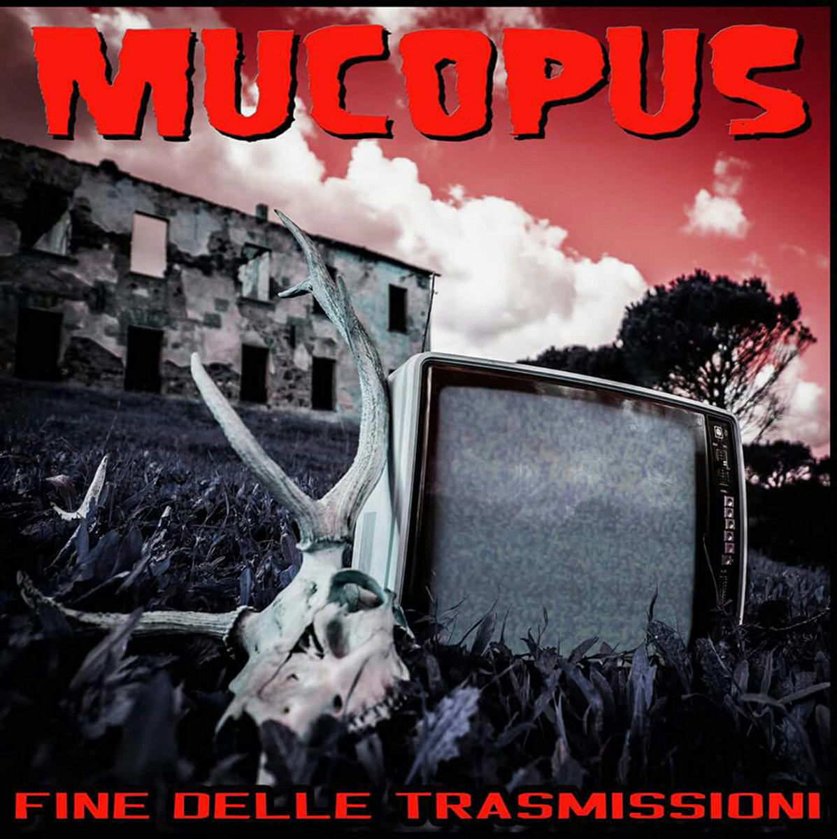 FINE DELLE TRASMISSIONI