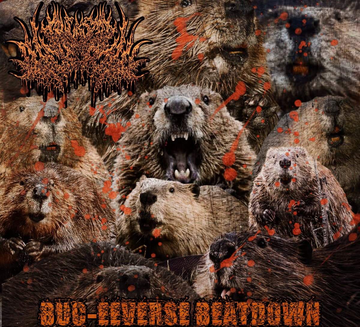 BUC-EEVERSE BEATDOWN