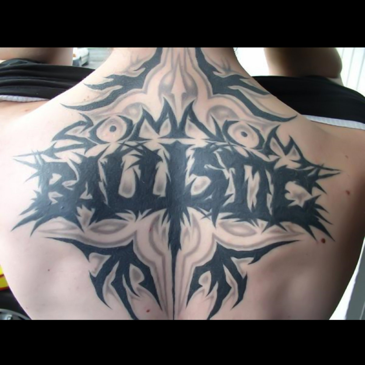 BETWEEN SHADOWS AND SUBSTANCE