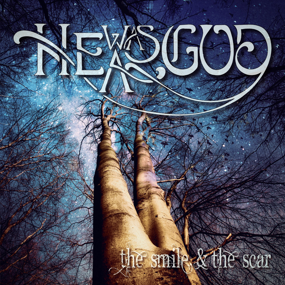 The Smile & The Scar