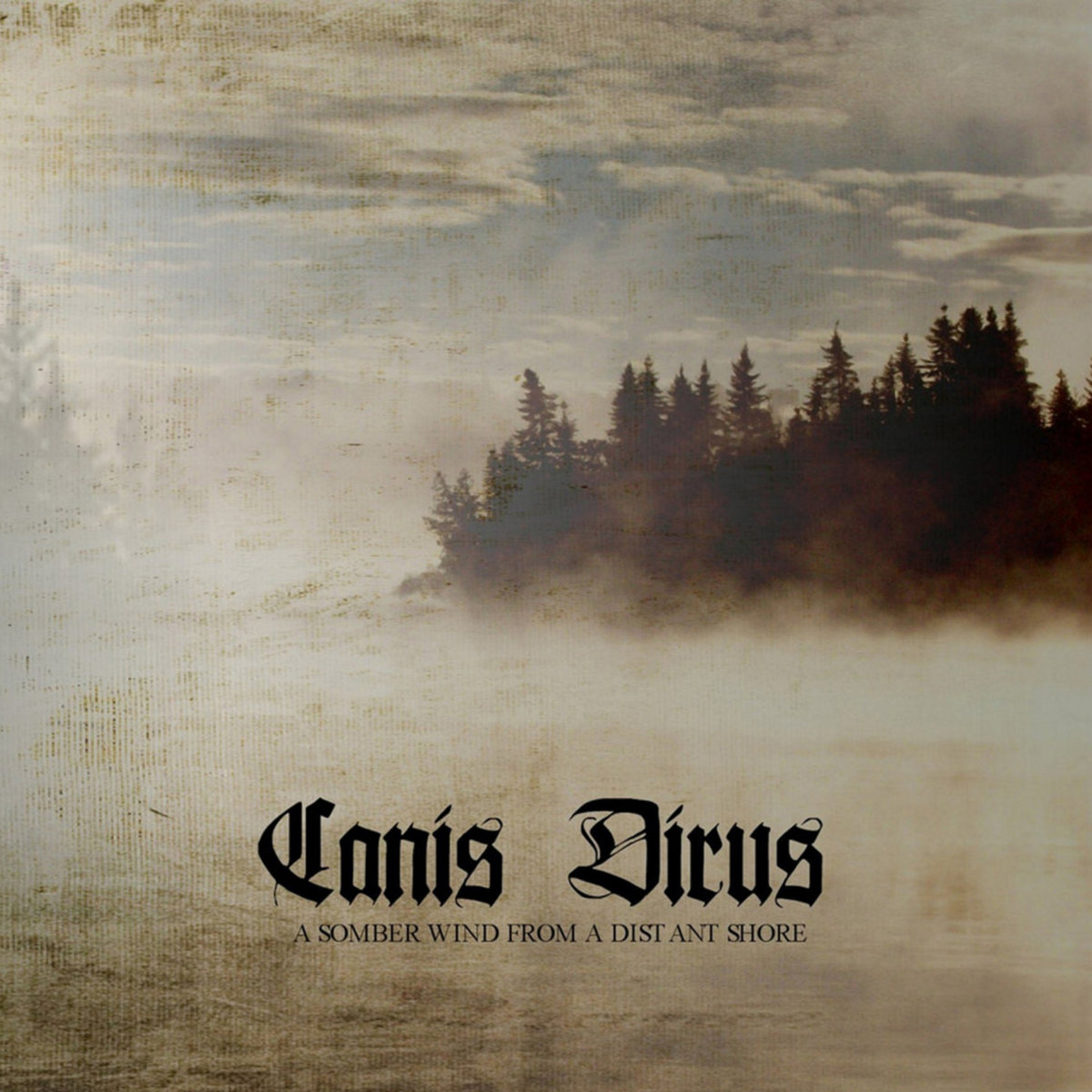 A Somber Wind from a Distant Shore