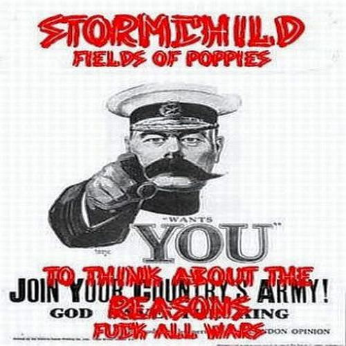 !? Fields of Poppies