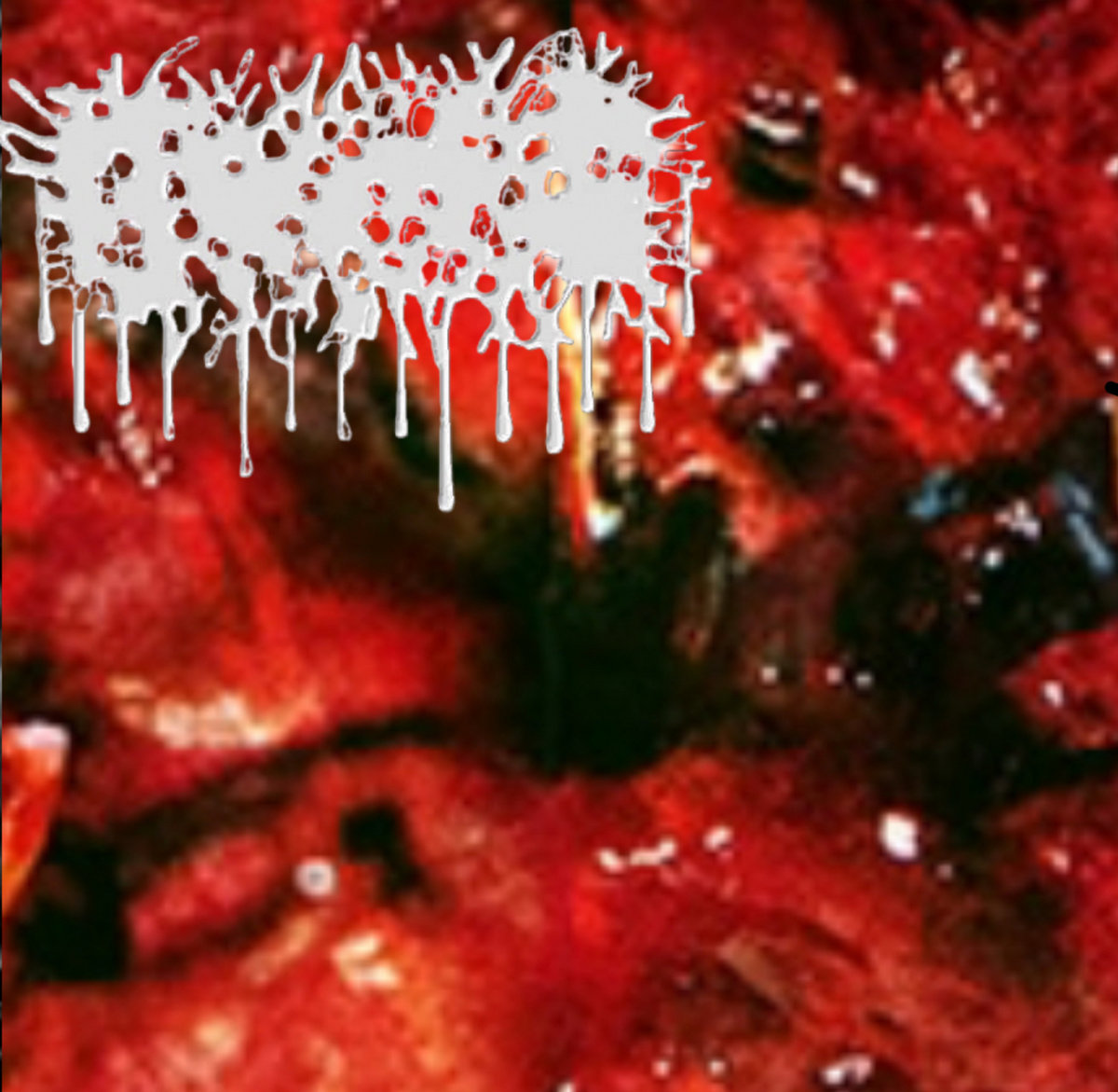 Coprophagic Gingivitis