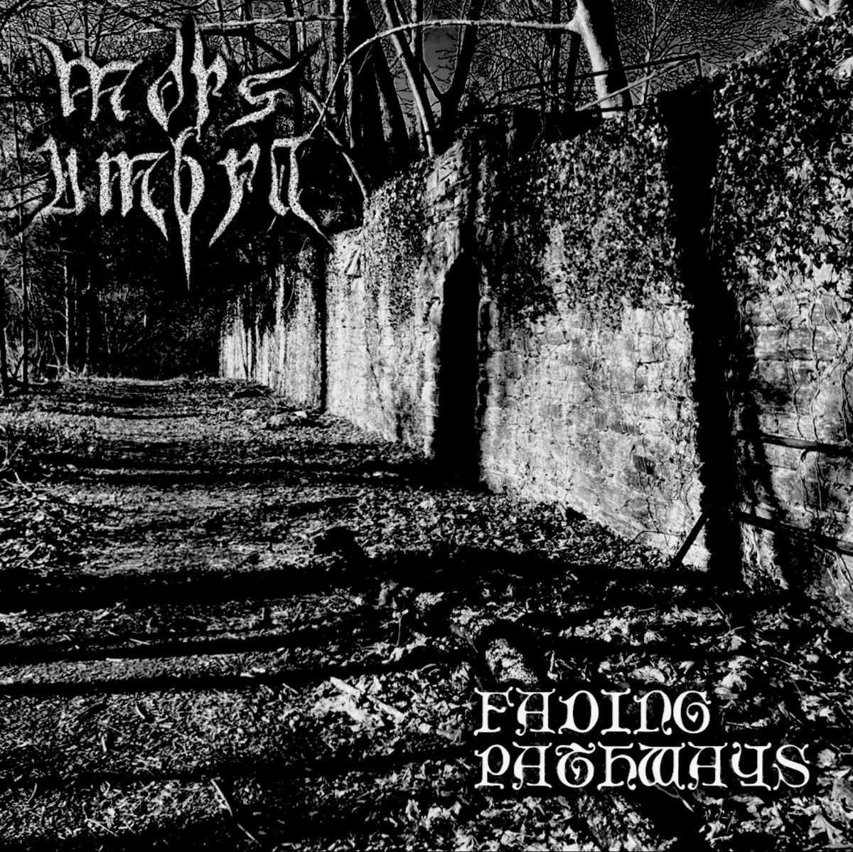 Fading Pathways (EP)