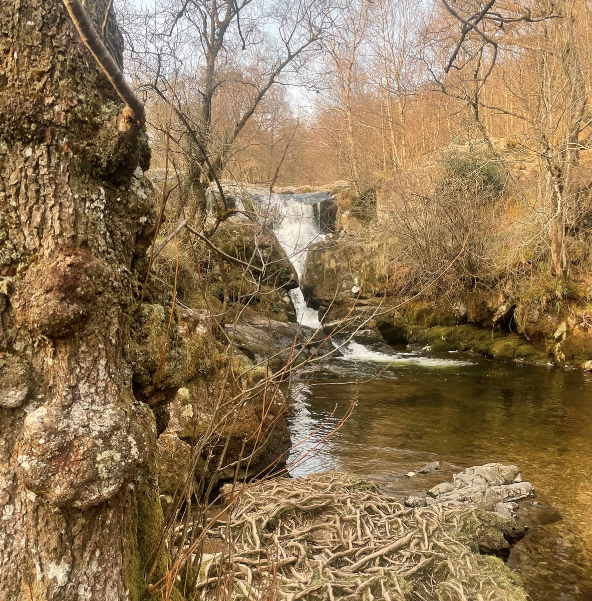 The 'Hidden Falls' Retreat