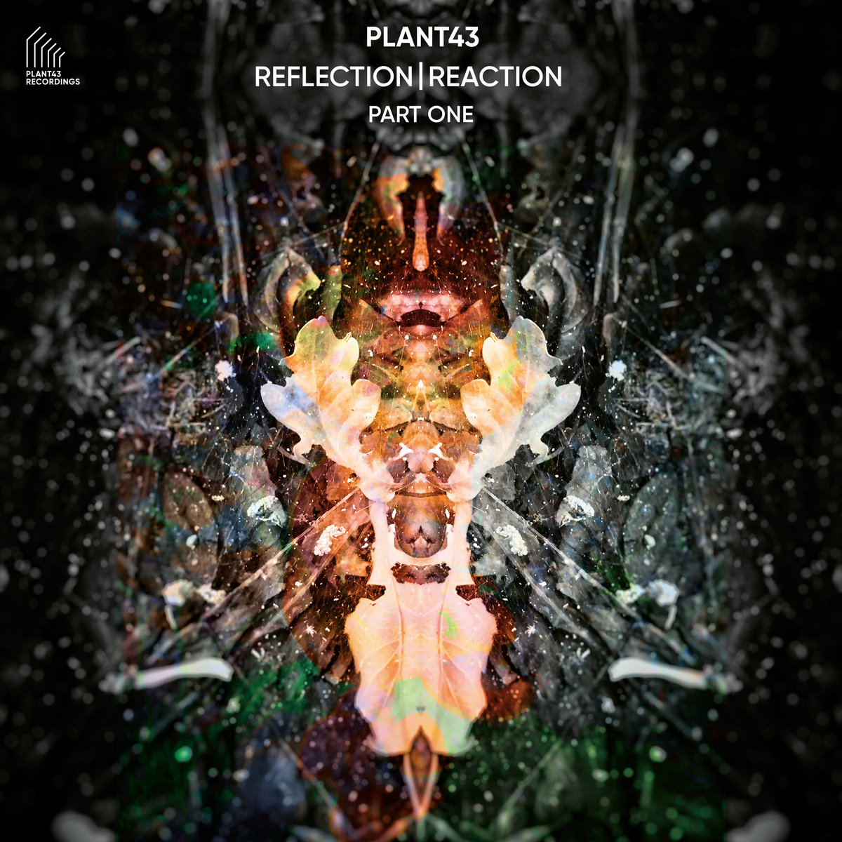 Reflection | Reaction - Part One