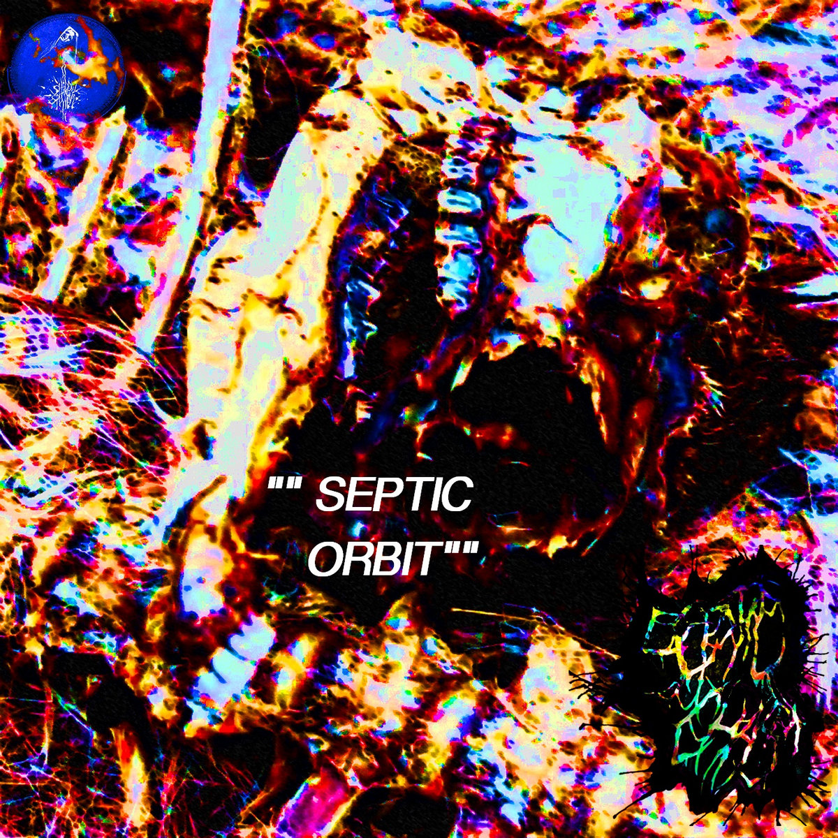 Septic Orbit