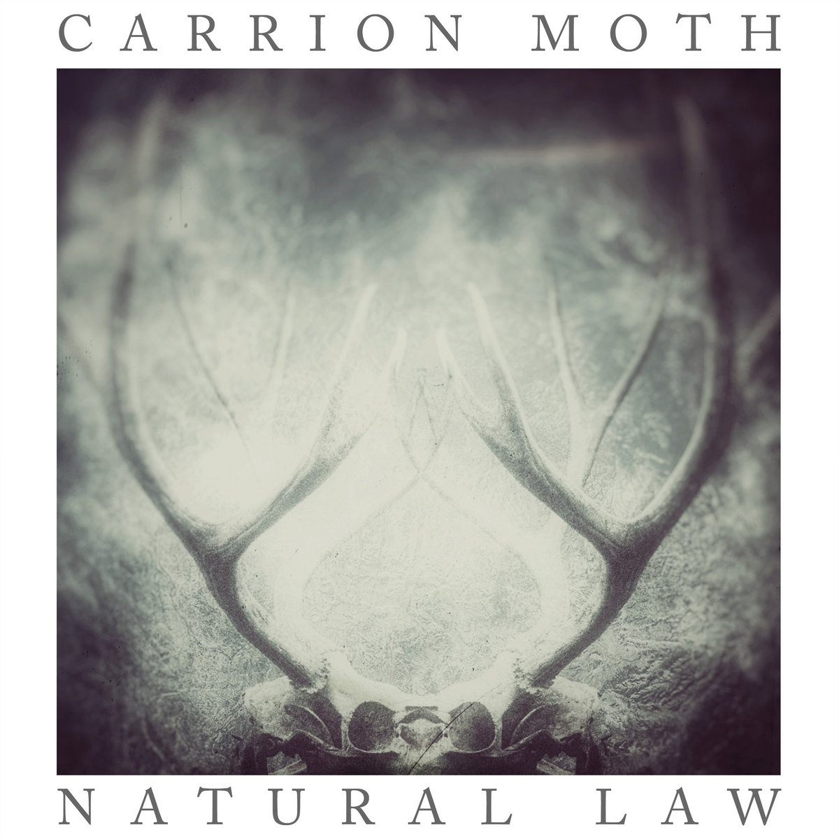 Natural Law
