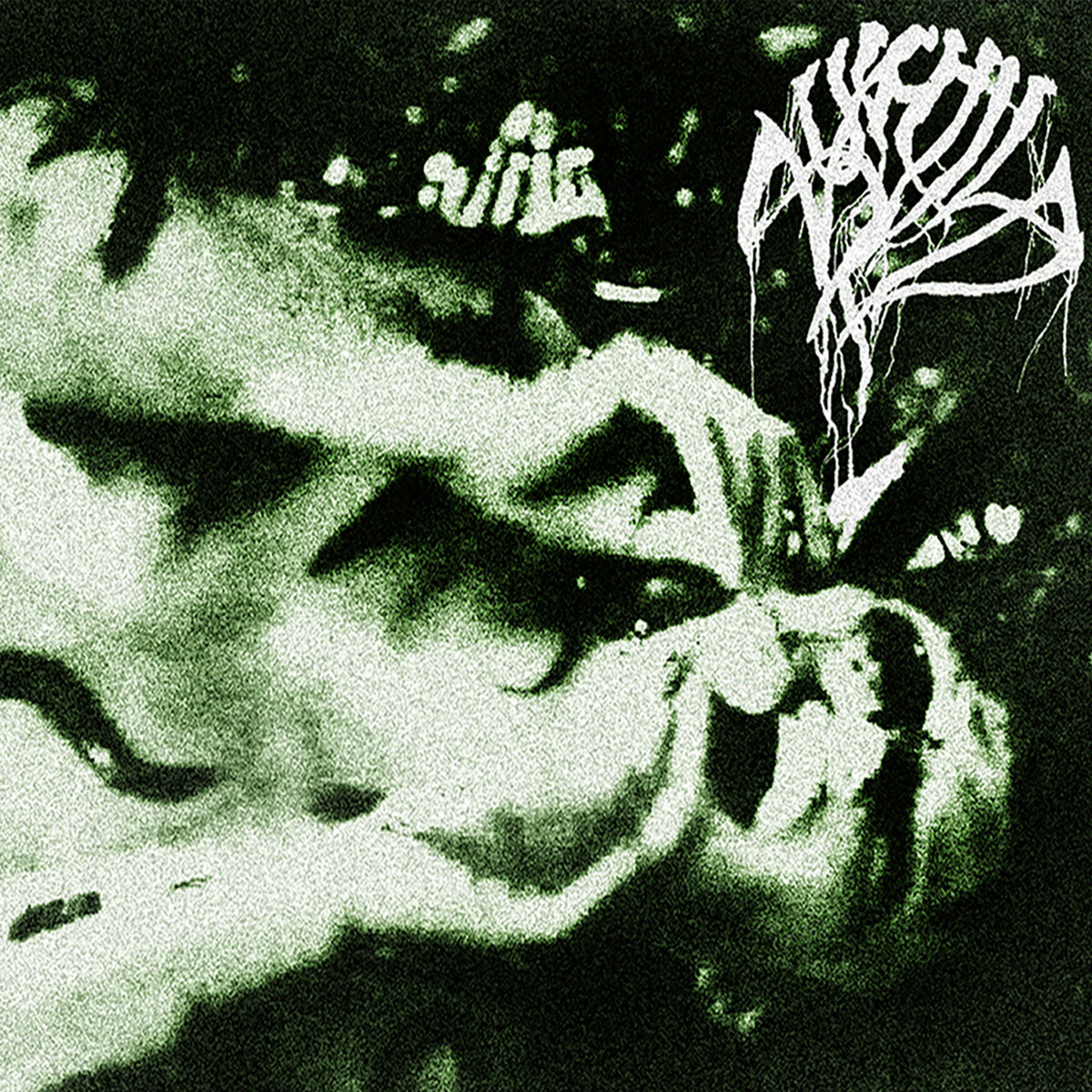 Live at Airport Records