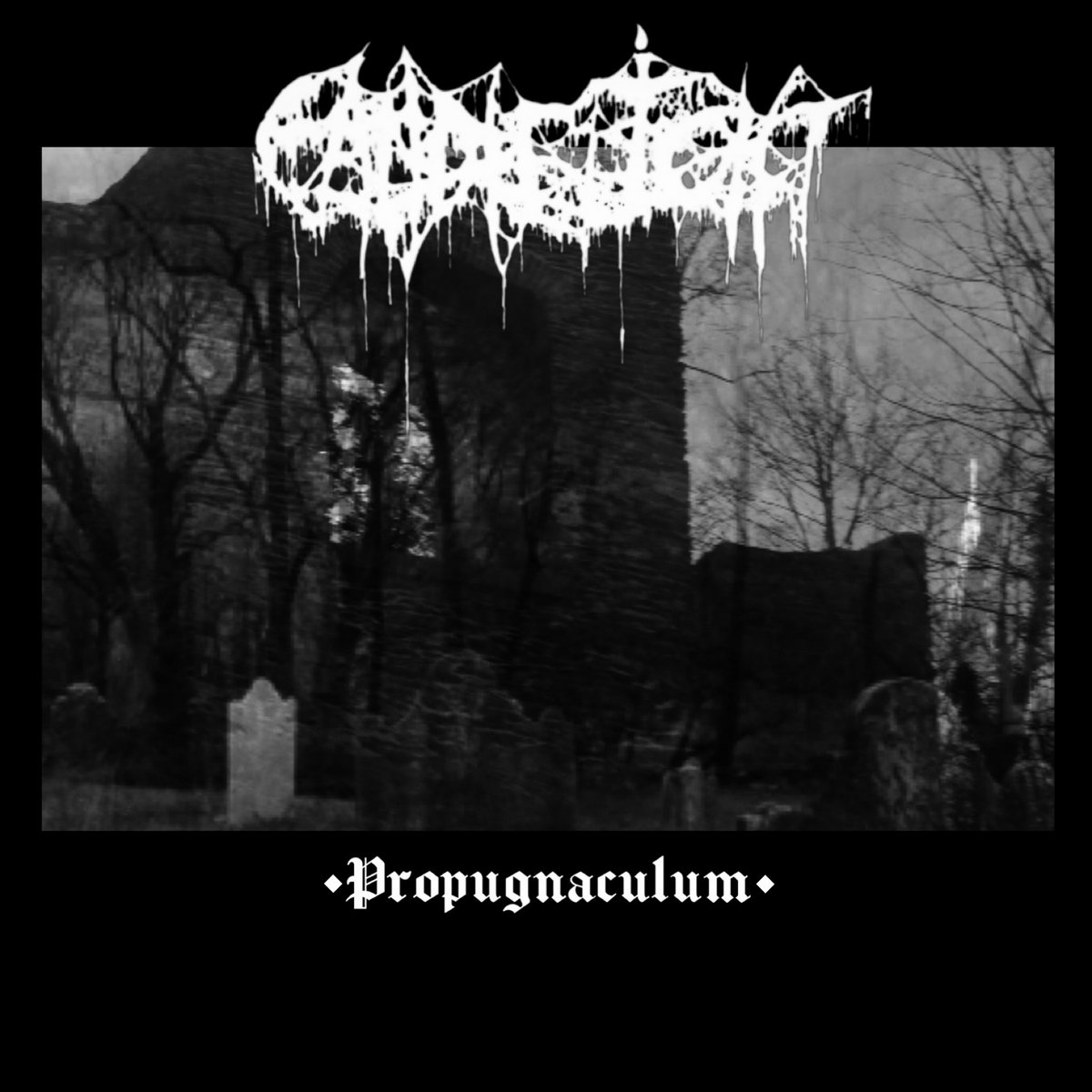 Propugnaculum Demo