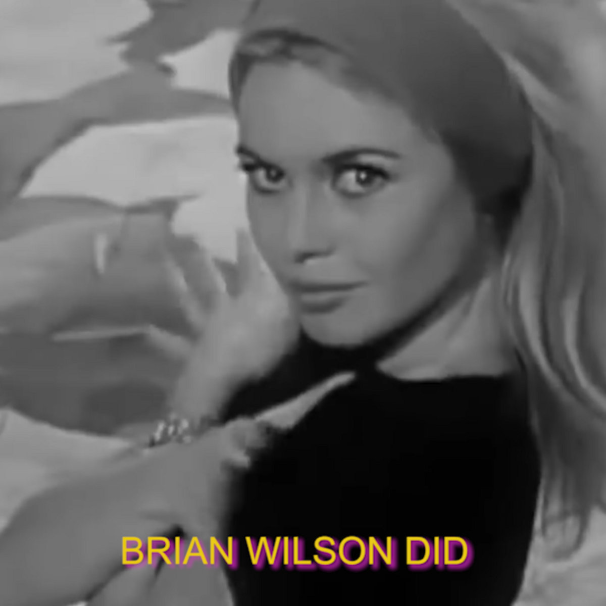 brian wilson (barenaked ladies cover)