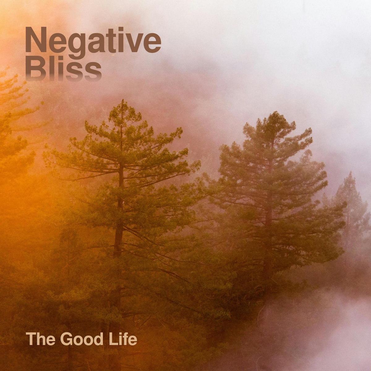The Good Life (single)