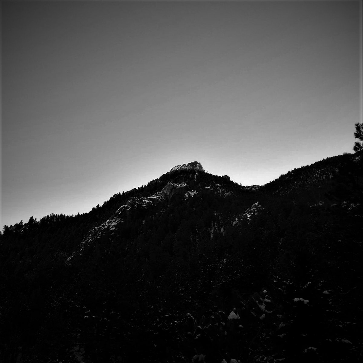 Incorrigible Apathy (Demo)