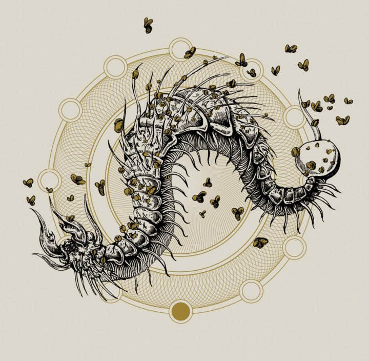 Coffinworm/Fistula split 7"