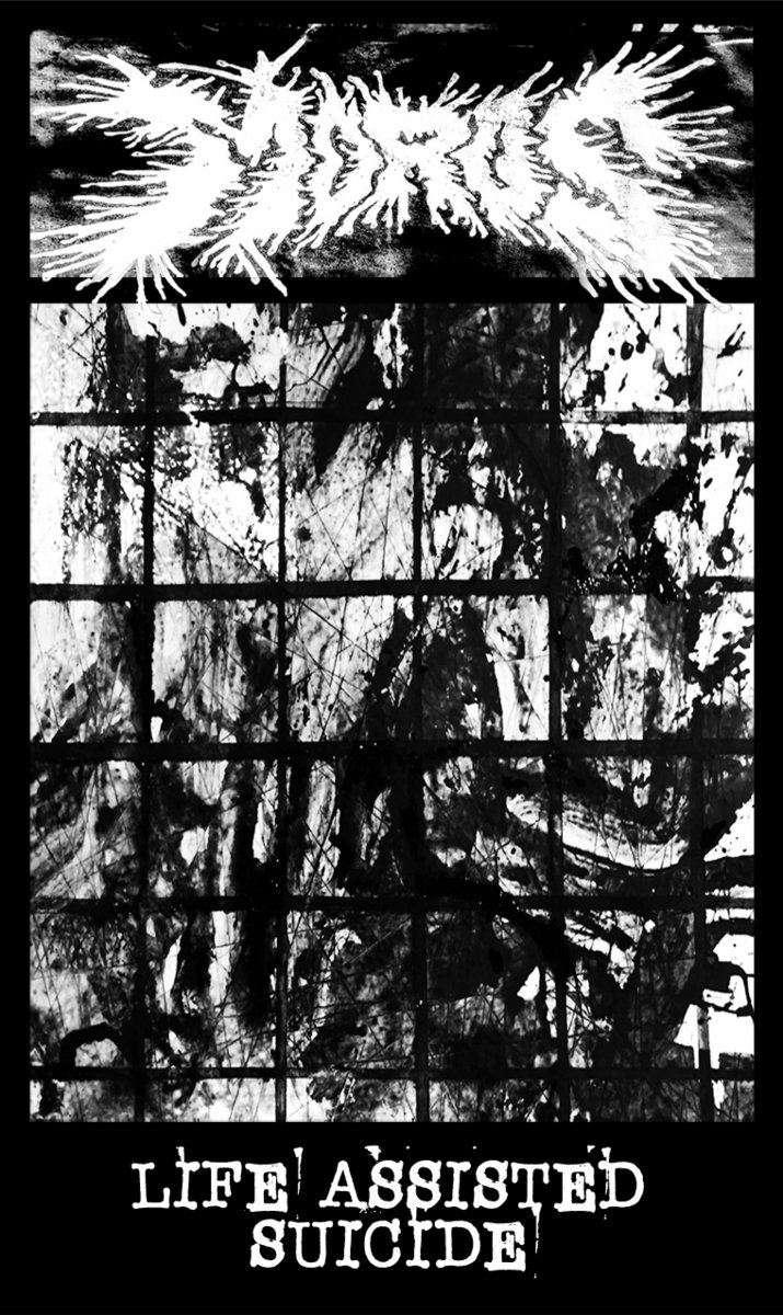 Life Assisted Suicide