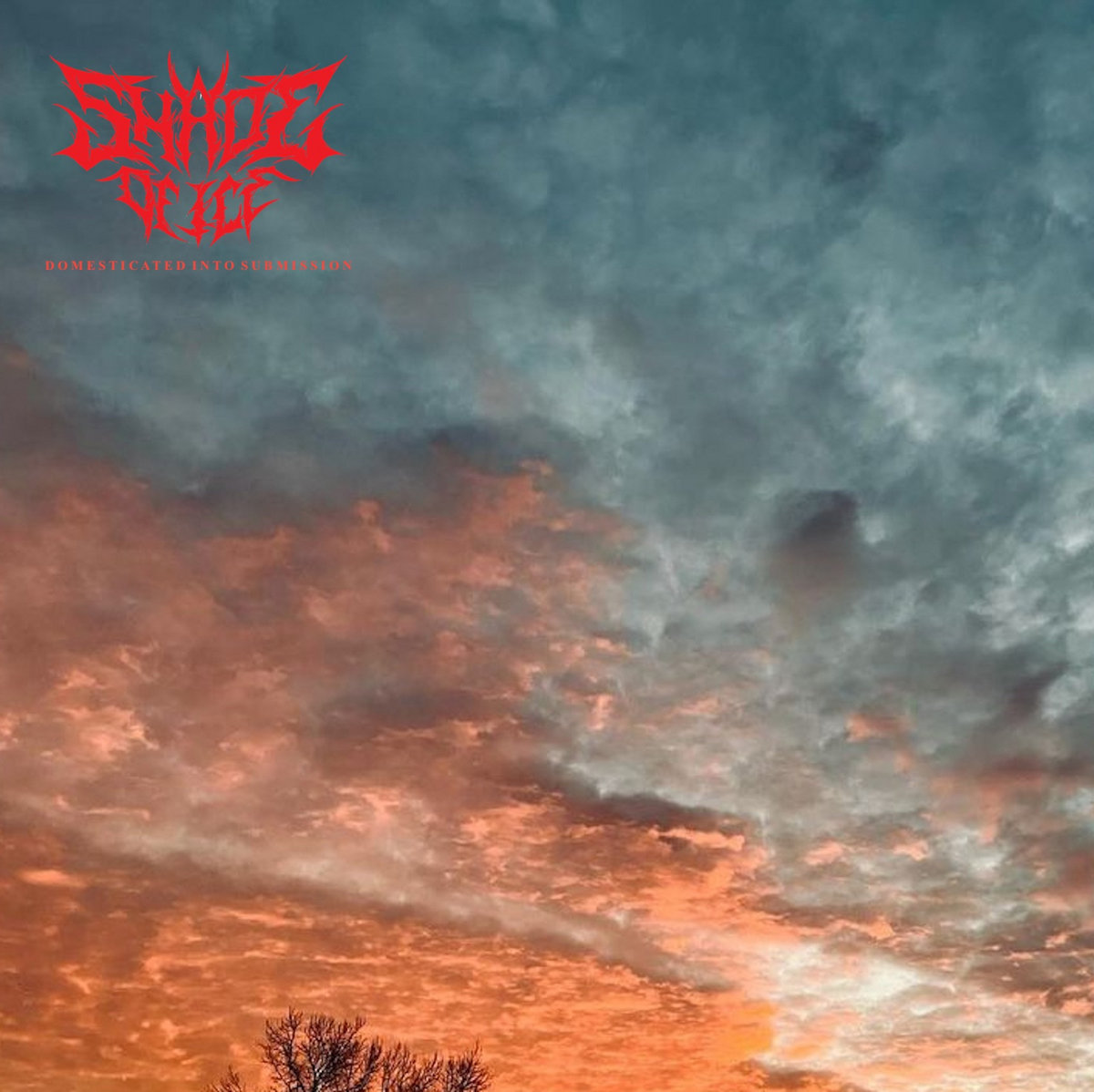 Domesticated into Submission