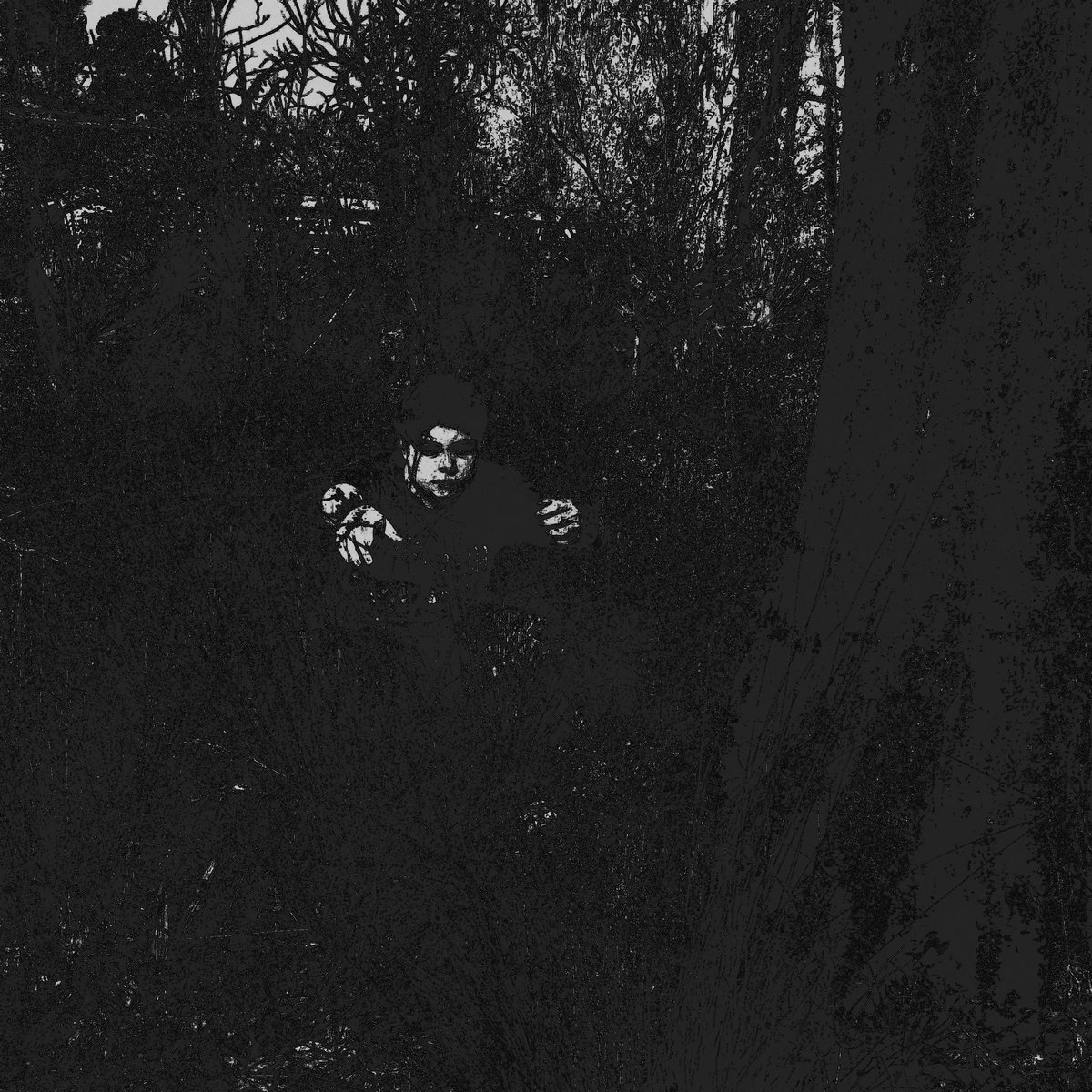 Magic Forest/Zauberwald