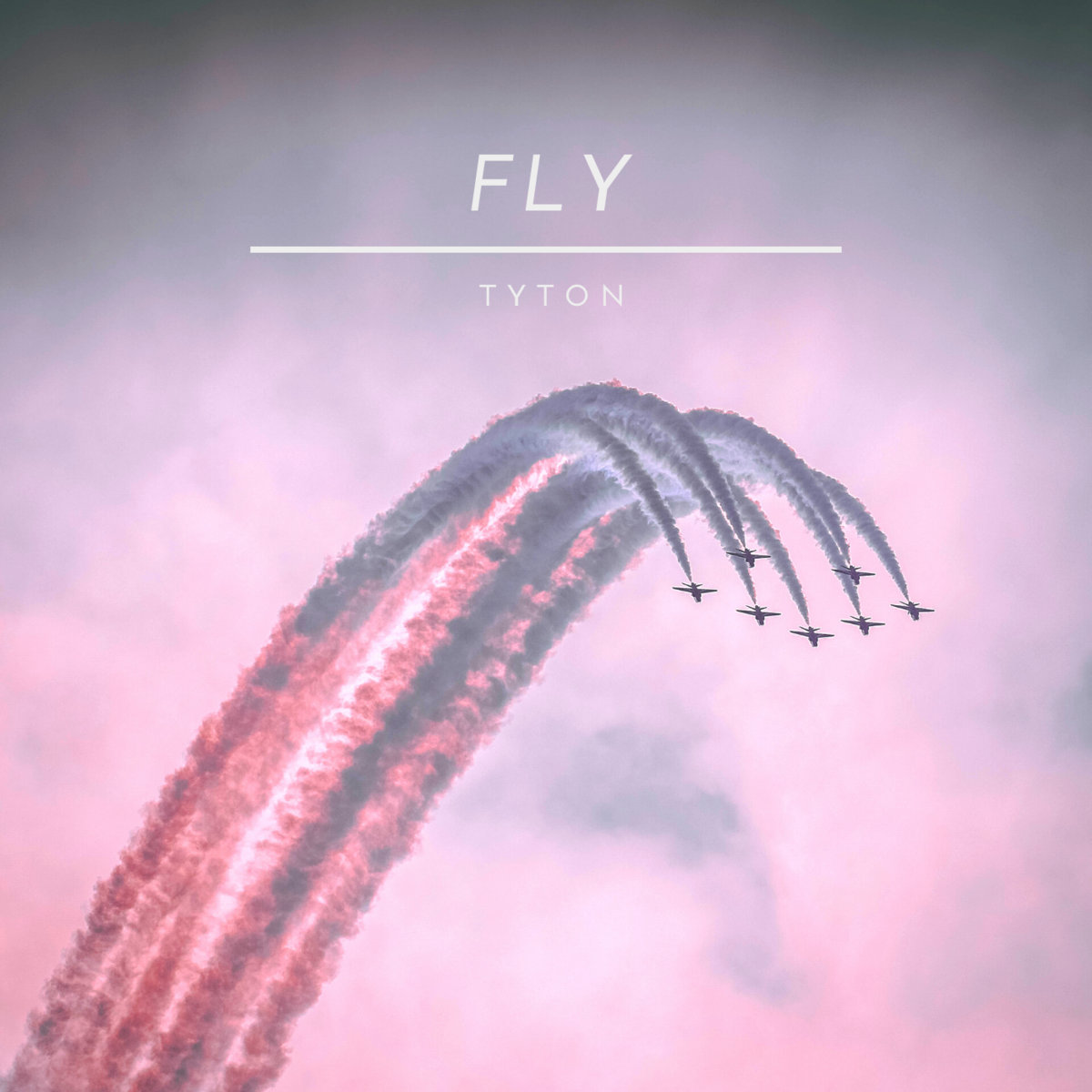 Fly