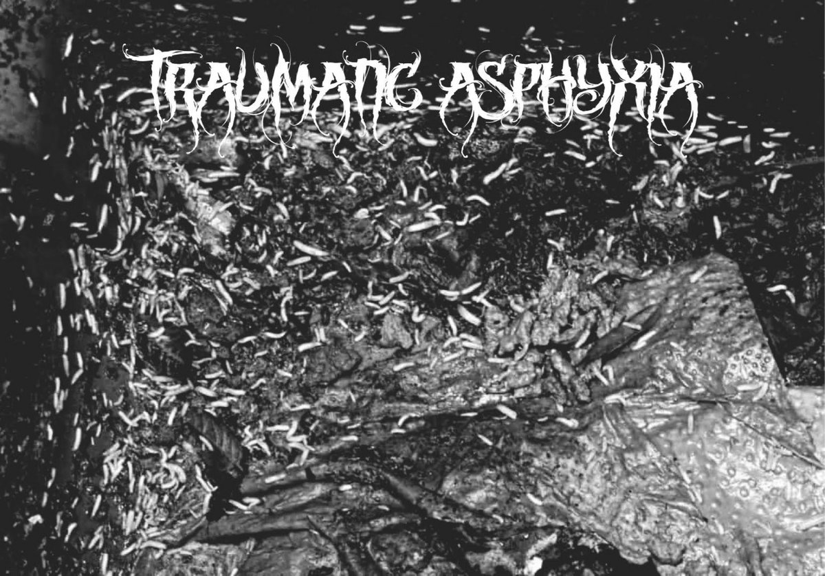 Gagging On The Maggot Flesh