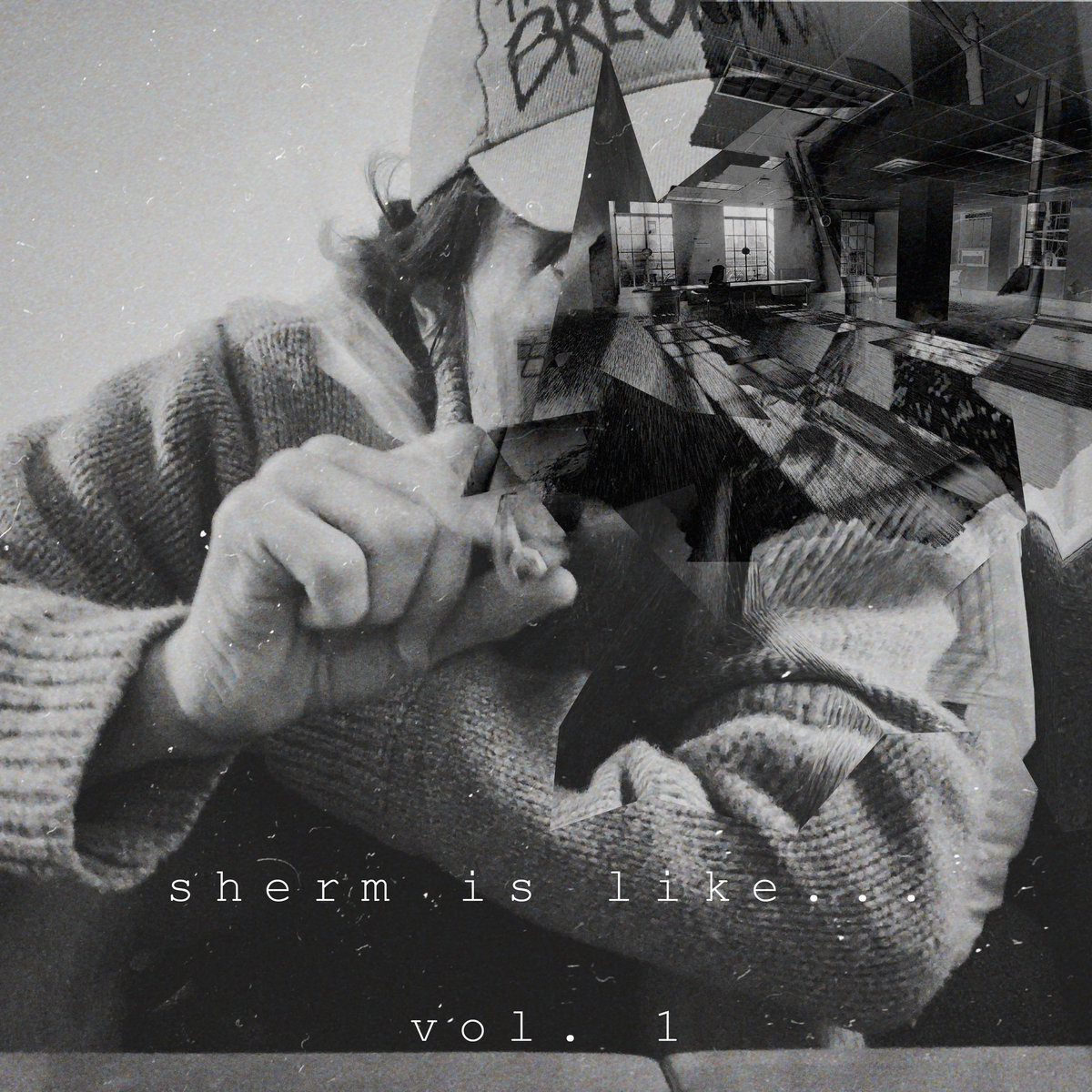 sherm is like... Vol.1 please use these fxking beats